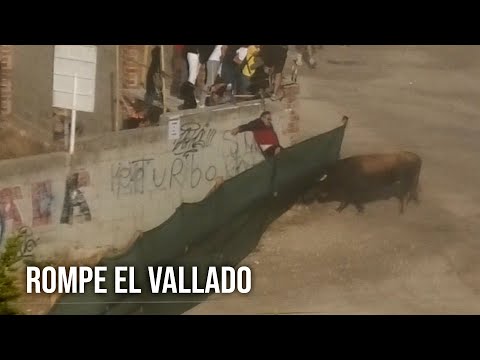 Cuellar 2023 El Toro Rompe el Vallado