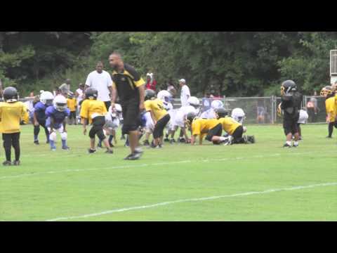 Peachtree Ridge Lions