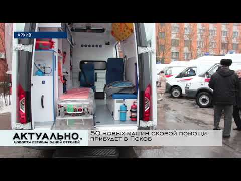 Актуально Псков / 11.12.2020
