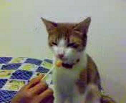 Lollipopginger