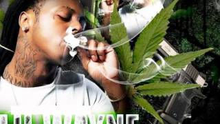 Lil Wayne - Hands Up (High Quality)