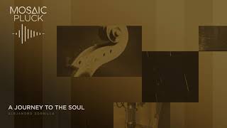 Video thumbnail for "A Journey To The Soul" by Alejandro Zorrilla | Mosaic Pluck Demo | Heavyocity by Heavyocity Media