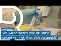 Dit gebeurt er met de wattenstaafjes uit de massale test in Lansingerland