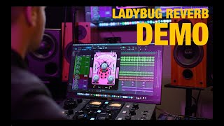 Video thumbnail for 🐞 LadyBug Reverb Demo 001 | Safari Pedals by SafariPedals