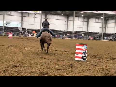 French champagne. 7th out of 620 entries. Bucking nightmare garwood 10/11/25