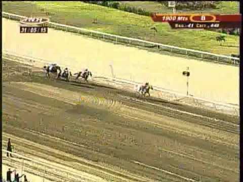 Resumen Domingo, 31 de Mayo de 2015 - La Rinconada