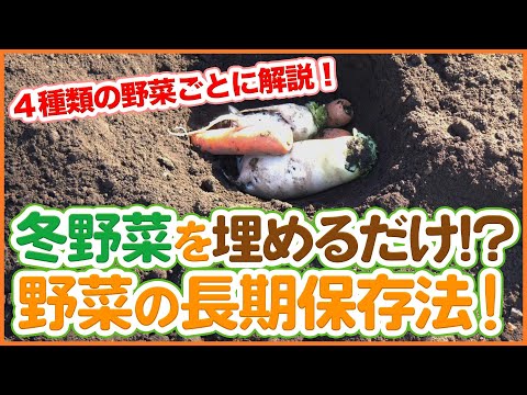 園芸 野菜を瓶に入れて保存する