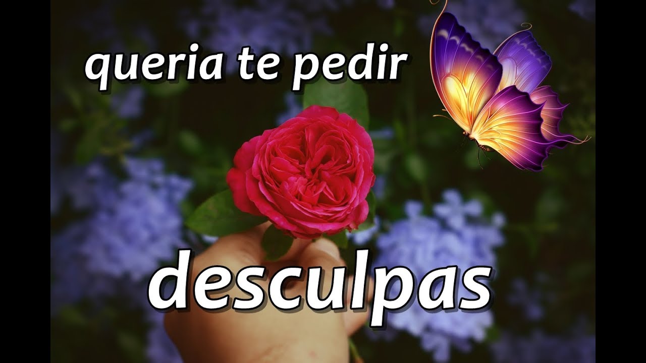 Mensagem de pedido de desculpas - vídeo de desculpas - para whatsapp - gif desculpas