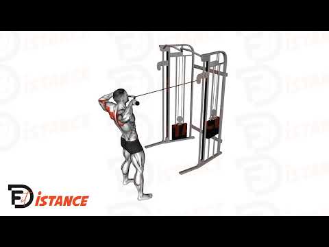 Exercice Tirage horizontal (front) corde à la poulie haute