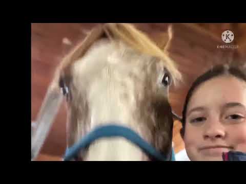 Merry Christmas Equestriennes!                       |🎄✨Pony Squad Christmas Edit✨🎄