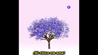 Eels - Baby Loves Me (Subtitulada en Español)