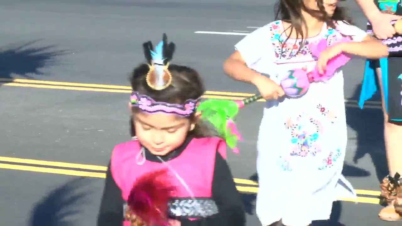 MLK Day Parade: Soaring Eagles Dance Troop