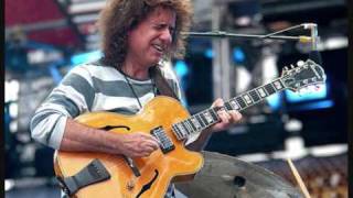 Truth will always be - Pat Metheny