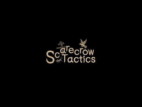 Scarecrow Tactics