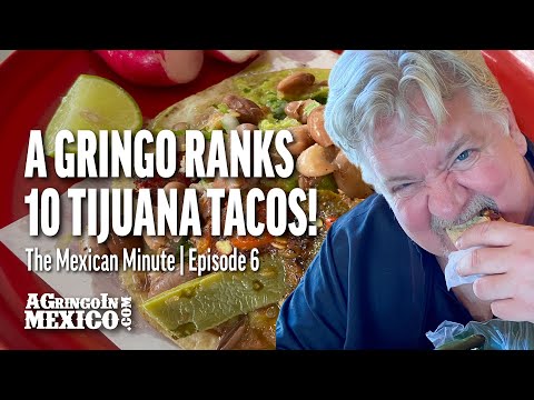 A GRINGO ranks 10 TIJUANA TACOS 🌮🇲🇽 !!!