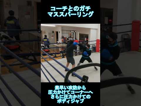 コーチとのハイレベルなガチマススパーリング  #boxing #マススパーリング #格闘技 #ウィービング #ガード