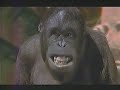 1994 The Jungle Book Movie Trailer