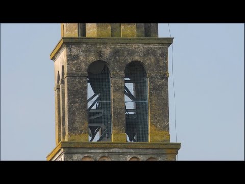 Campane di Baruchella (RO) - plenum
