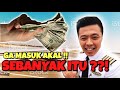 GAJI PILOT CARGO LEBIH BESAR DARI PILOT AIRLINE? APAKAH BENAR?? BONGKAR GAJI PILOT SEBENARNYA! GAJI PILOT CARGO LEBIH BESAR DARI PILOT AIRLINE? APAKAH BENAR?? BONGKAR GAJI PILOT SEBENARNYA!