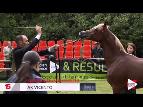 Highlights Bruges 2015 National Show