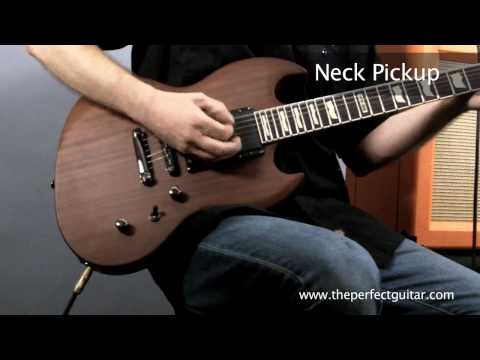 ESP LTD Standard Series Viper-300M Guitar Demo - The Perfect Guitar