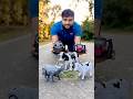 New Remote Control BUFFALO And RC COW Unboxing