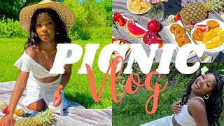 A DAY IN LIFE: Picnic with friends