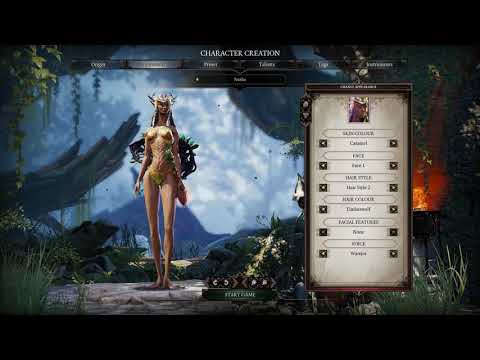 Divinity: Original Sin 2 - Co-op playthrough #1 ► 1080p 60fps - No commentary ◄