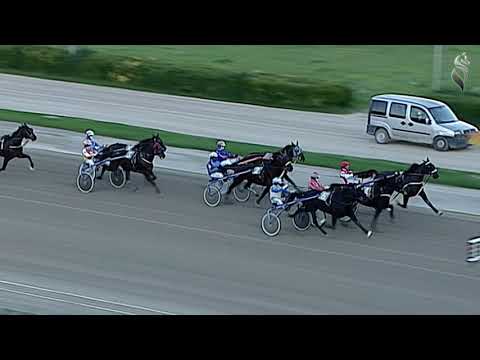 Aversa trotto 18 Novembre 2020 - 5° Corsa