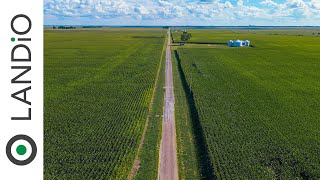 320 Acre Income Producing Farm • Land for Sale in Illinois - LANDiO