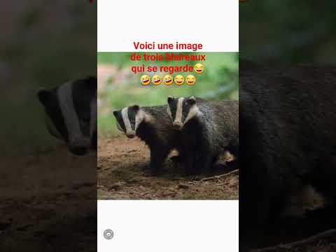 Ta compris😂😂😂😂😂😂😂