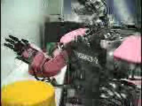 Hadaly-2 robot demo