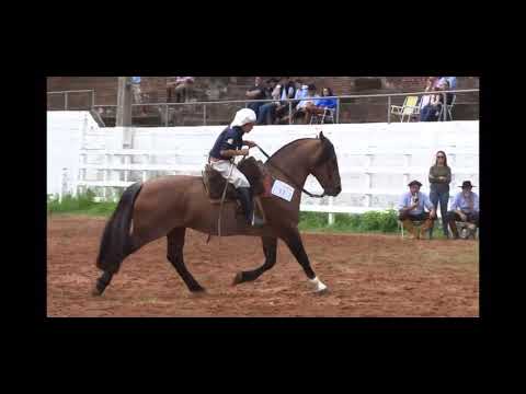 Entrevero Da Santa Juvita!!