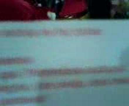 Ensaio Salgueiro 2008