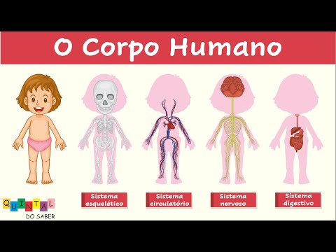 O CORPO HUMANO PARA CRIANÇAS | VIDEO EDUCATIVO