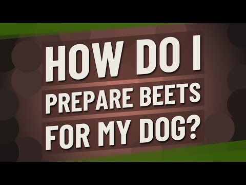 YouTube video about: How to prepare beets for dogs?