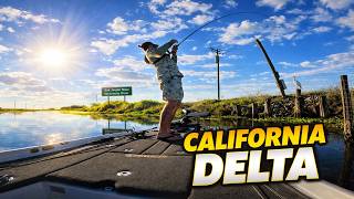 The RIVER is Heating UP - California Delta