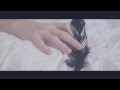 The PINES- Cry Cry Crow (Official Music Video ...