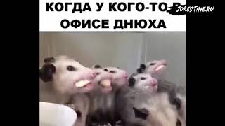 8 МИНУТ СМЕХА ДО СЛЁЗ 2019 ЛУЧШИЕ РУССКИЕ ПРИКОЛЫ ржака #8