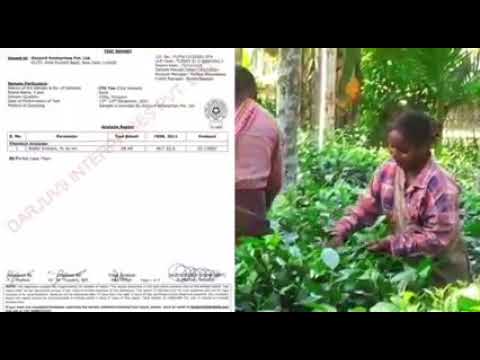 चाय ही तो है क्या फर्क पड़ता ? नहीं जनाब बहुत फर्क पड़ता है विचारणीय , हम क्या पीते है चाय का प्याला
