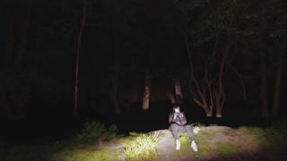 Palmistry - Lifted - OFFICIAL VIDEO