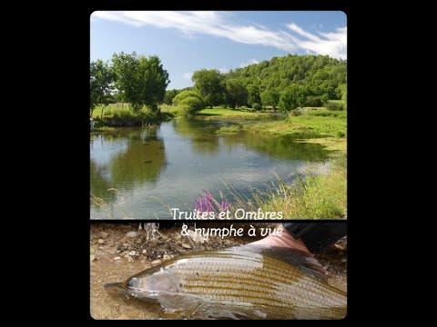 truites et ombres en nymphe à vue vol3