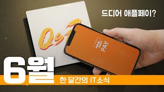 퀘이사존