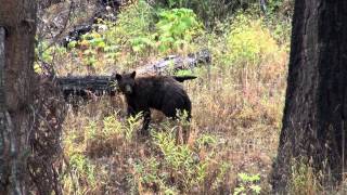 "THE MOMENT" OFFICIAL TRAILER 2015 ZMA PRODUCTION