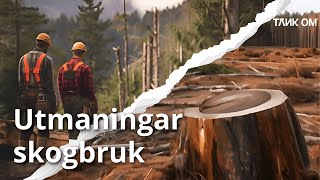 Utmaningar med textil från skogsbruk – när träden tystnar