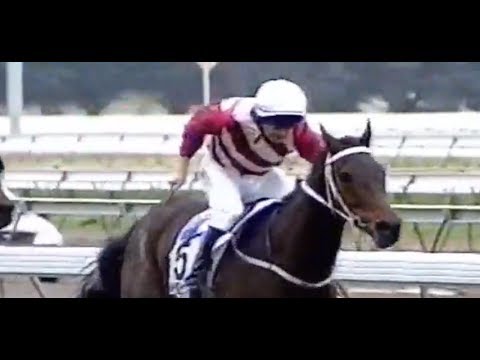 2002 VRC Flemington _ Aurie's Star Raceday Races 1-3