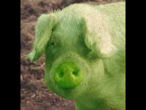 Pang Prego - "It's lijke... khilometerz akross, ok"