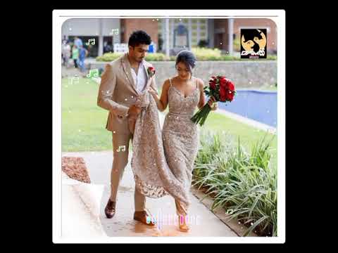 His mudune atha thaba(හිස් මුදුනේ අත තබා) @yashith_kalabarachi offical video //whatsapp lyrics video