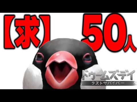 【ドゥームズデイ:ラストサバイバー】雑談だよ~人間捕獲大作戦!こい!【新人VTuber/文鳥】#PR
