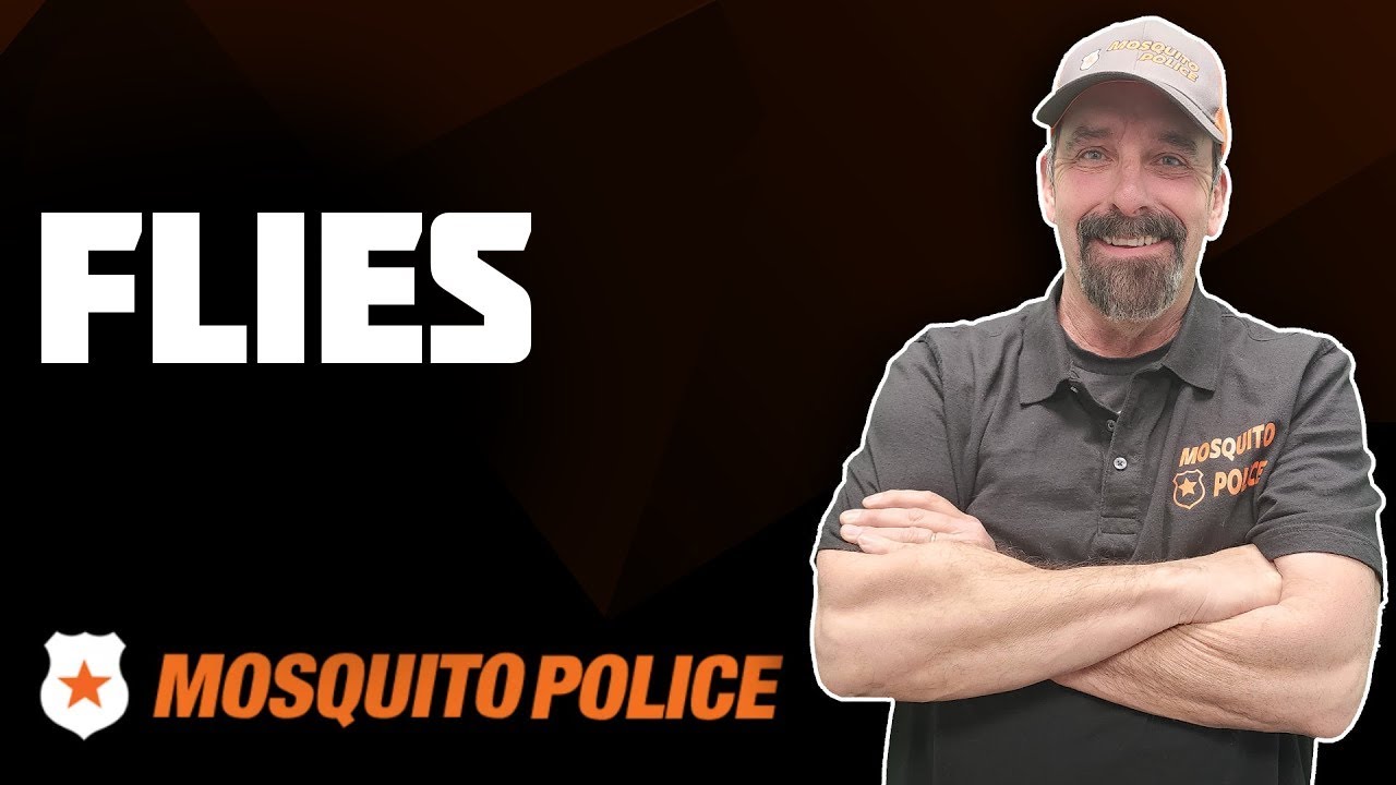 Mosquito Police - Flies